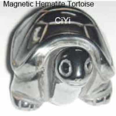 Magnetic&Hematite Tortoise