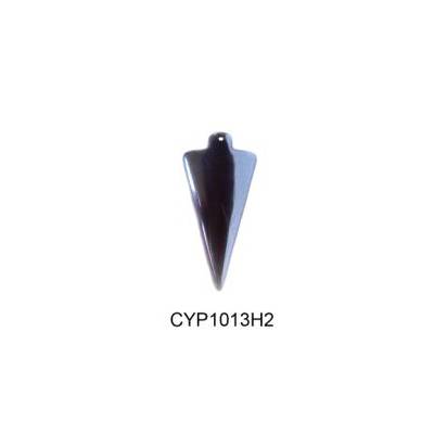 CYP1013H2
