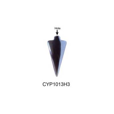 CYP1013H3
