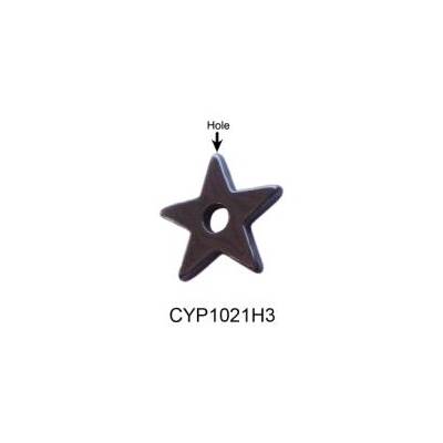 CYP1021H3